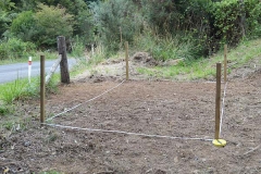 Gallery03