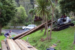 Hauling the poles up to the site
